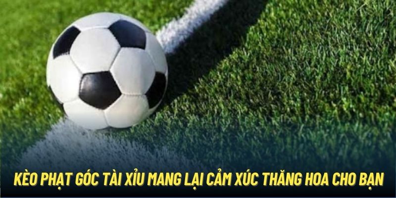 Kèo Phạt Góc | Mọi Điều Bạn Cần Biết Để Chiến Thắng Kèo phạt góc Tài Xỉu mang lại cảm xúc thăng hoa cho bạn